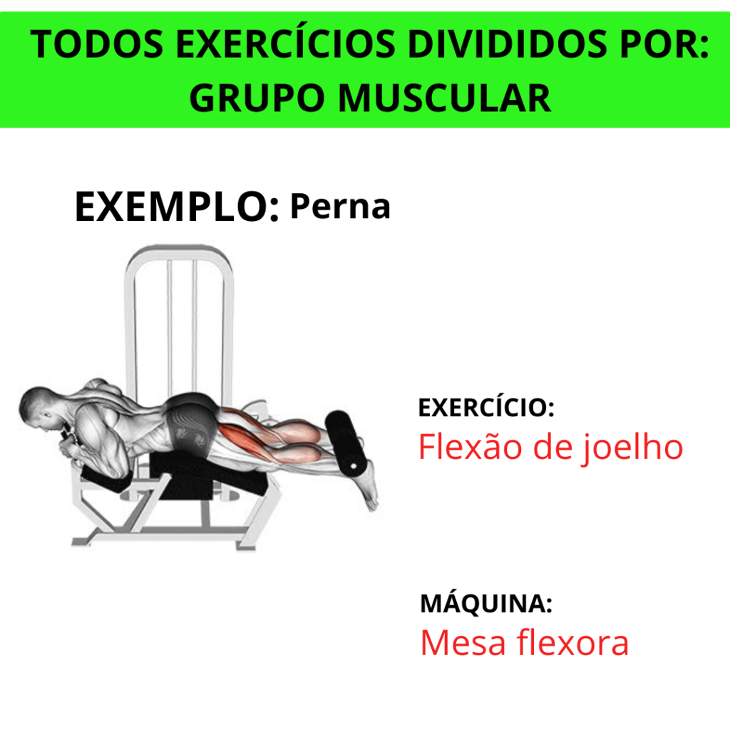 PERNA 1024x1024 - MÉTODODETREINO