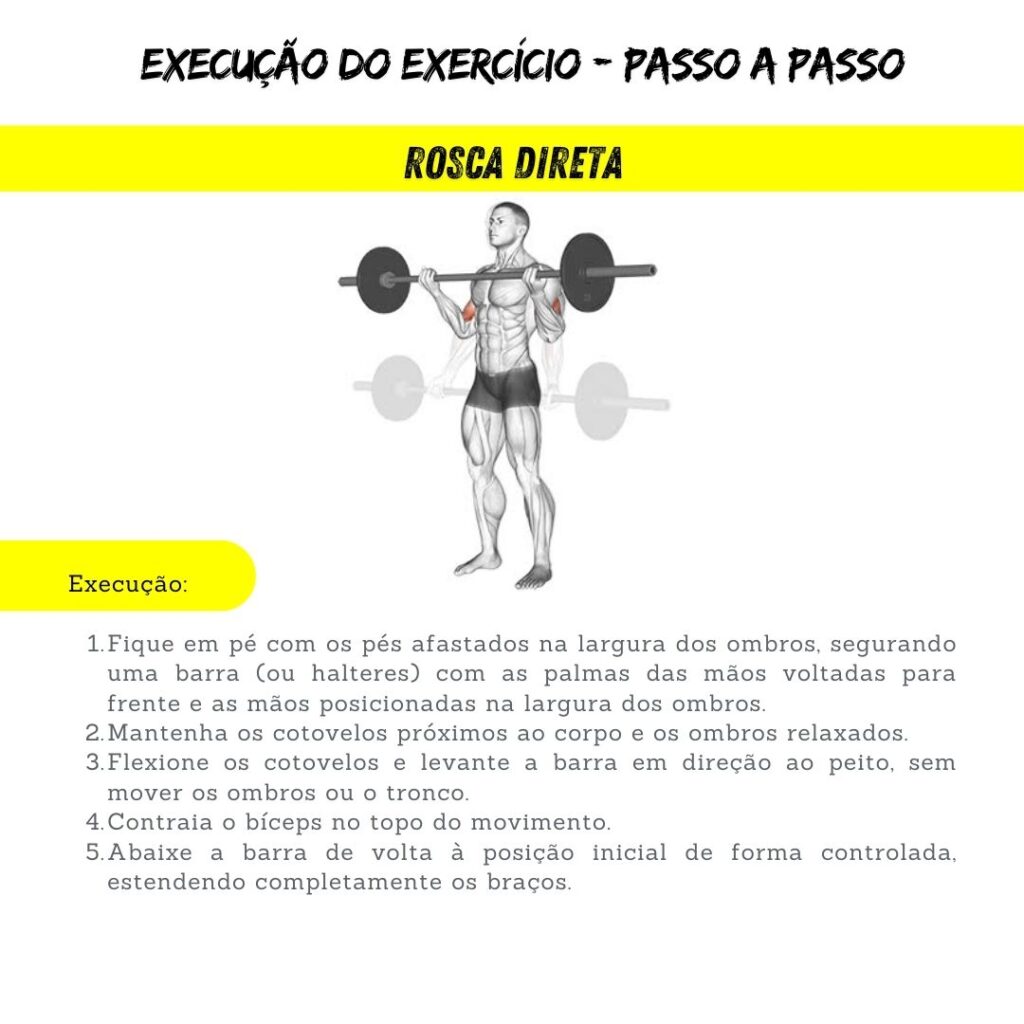 guia completo 1 1024x1024 - anatomia da musculação