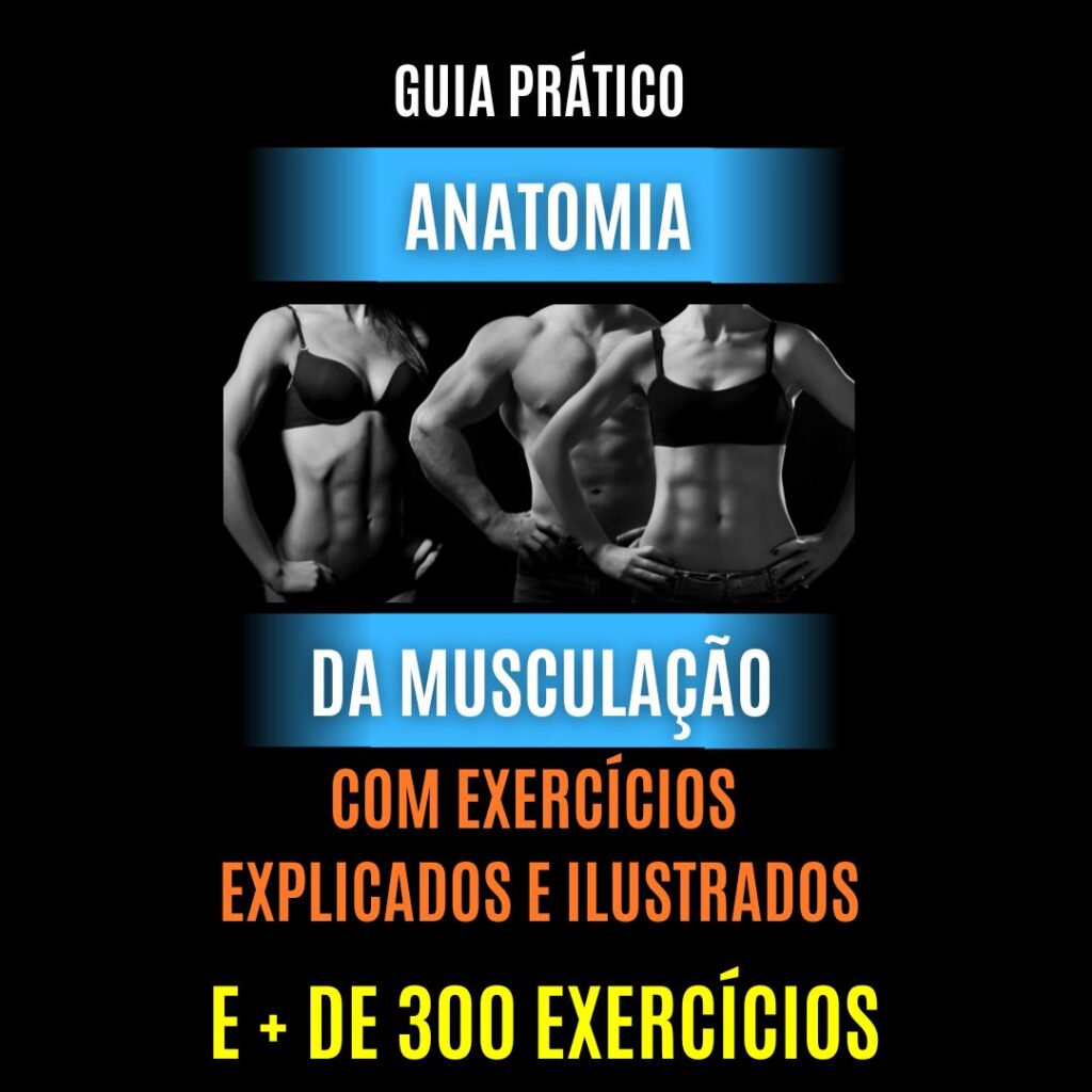 guia completo 6 1024x1024 - anatomia da musculação